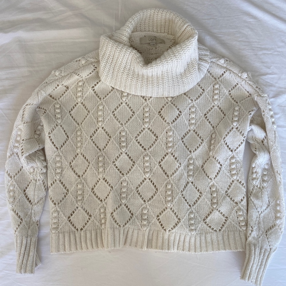 LOFT Turtleneck Sweater